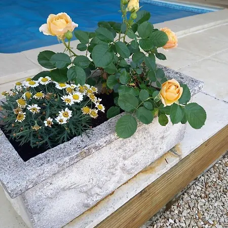 La Charentaise Ch D'hôtes ,studio Alojamento de Acomodação e Pequeno-almoço