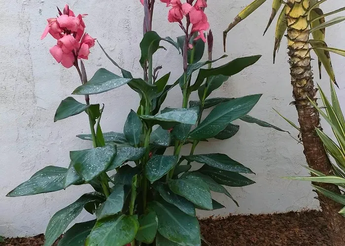 La Charentaise Ch D'hotes ,studio Chérac